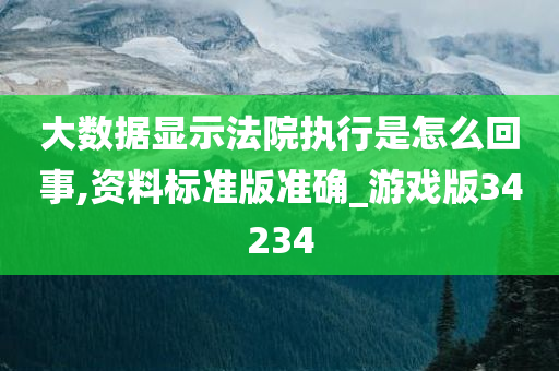 大数据显示法院执行是怎么回事,资料标准版准确_游戏版34234