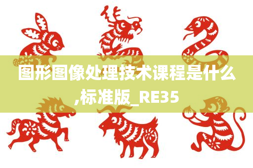 图形图像处理技术课程是什么,标准版_RE35