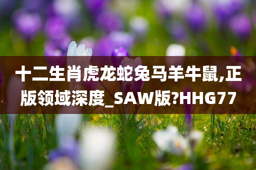 十二生肖虎龙蛇兔马羊牛鼠,正版领域深度_SAW版?HHG77