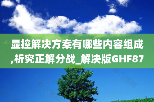 显控解决方案有哪些内容组成,析究正解分战_解决版GHF87