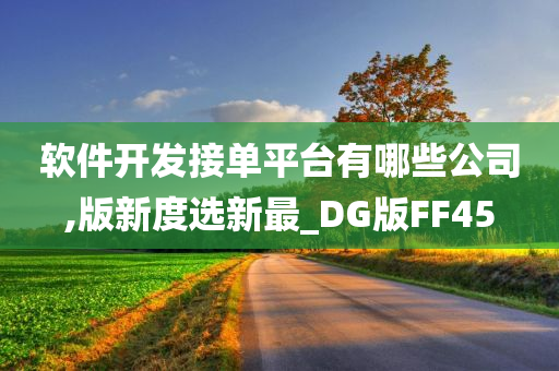 软件开发接单平台有哪些公司,版新度选新最_DG版FF45