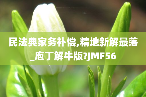 民法典家务补偿,精地新解最落_庖丁解牛版?JMF56