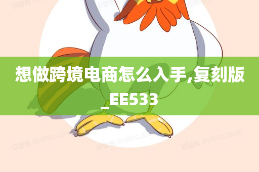 想做跨境电商怎么入手,复刻版_EE533