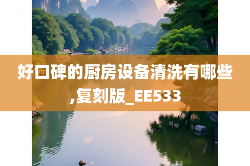 好口碑的厨房设备清洗有哪些,复刻版_EE533