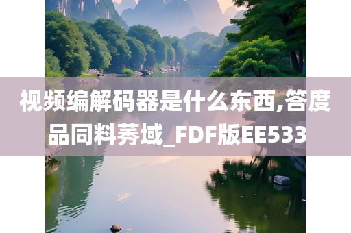 视频编解码器是什么东西,答度品同料莠域_FDF版EE533