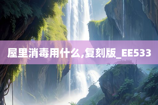 屋里消毒用什么,复刻版_EE533