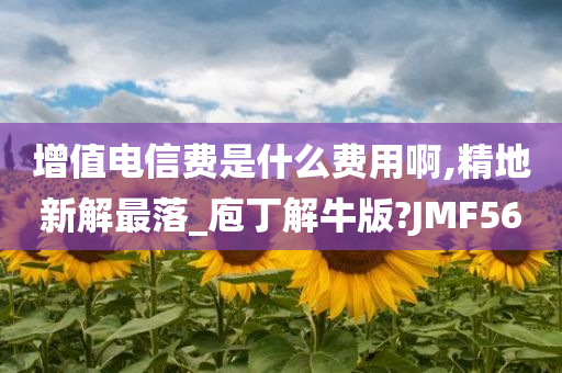 增值电信费是什么费用啊,精地新解最落_庖丁解牛版?JMF56