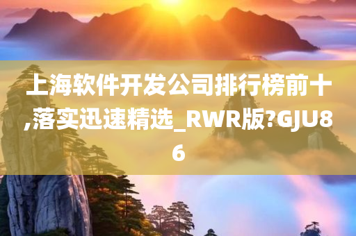 上海软件开发公司排行榜前十,落实迅速精选_RWR版?GJU86