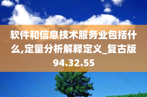 软件和信息技术服务业包括什么,定量分析解释定义_复古版94.32.55