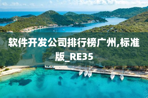 软件开发公司排行榜广州,标准版_RE35