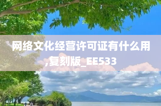 网络文化经营许可证有什么用,复刻版_EE533