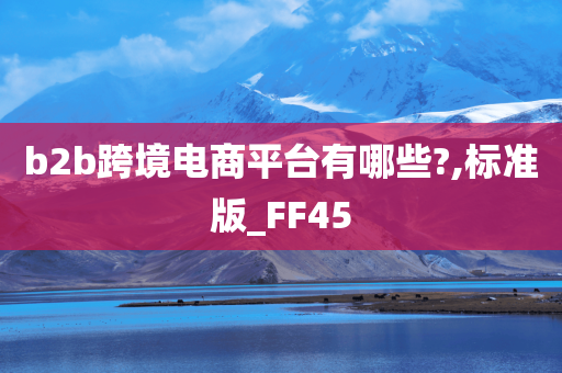 b2b跨境电商平台有哪些?,标准版_FF45