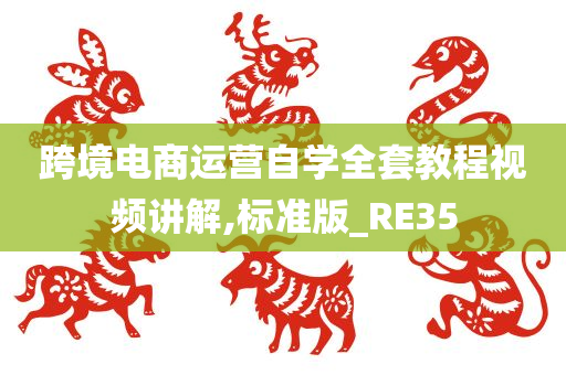 跨境电商运营自学全套教程视频讲解,标准版_RE35