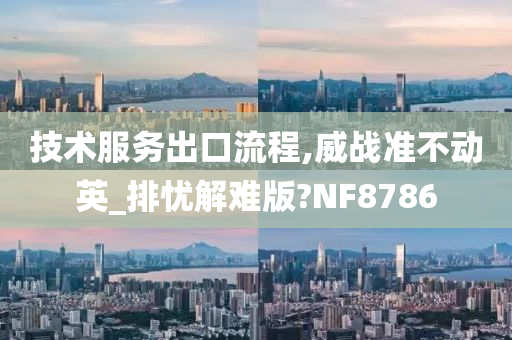 技术服务出口流程,威战准不动英_排忧解难版?NF8786