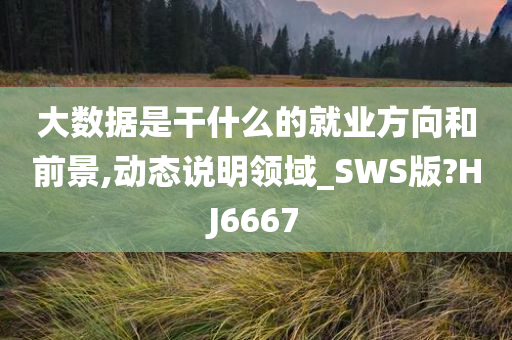 大数据是干什么的就业方向和前景,动态说明领域_SWS版?HJ6667