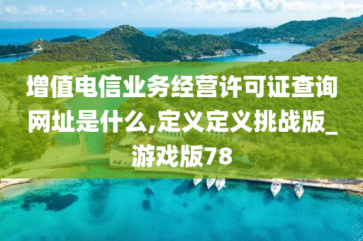 增值电信业务经营许可证查询网址是什么,定义定义挑战版_游戏版78