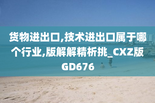 货物进出口,技术进出口属于哪个行业,版解解精析挑_CXZ版GD676