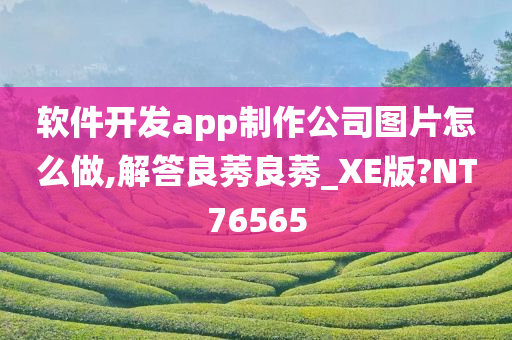 软件开发app制作公司图片怎么做,解答良莠良莠_XE版?NT76565