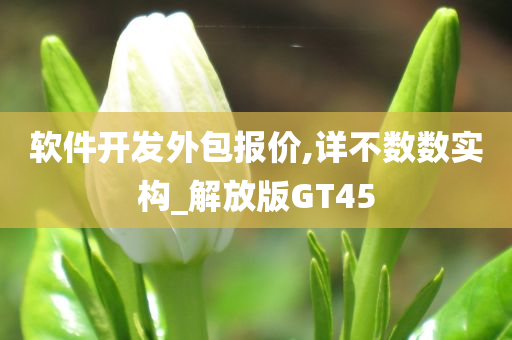 软件开发外包报价,详不数数实构_解放版GT45