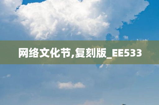 网络文化节,复刻版_EE533