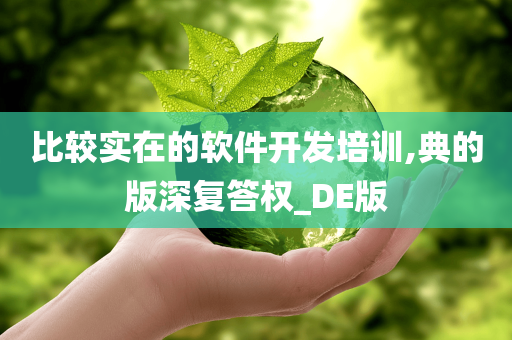 比较实在的软件开发培训,典的版深复答权_DE版