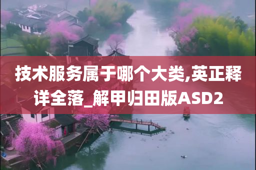 技术服务属于哪个大类,英正释详全落_解甲归田版ASD2