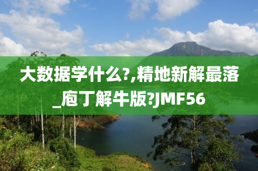 大数据学什么?,精地新解最落_庖丁解牛版?JMF56