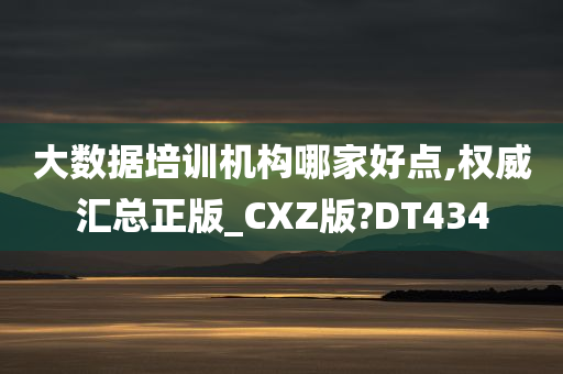 大数据培训机构哪家好点,权威汇总正版_CXZ版?DT434