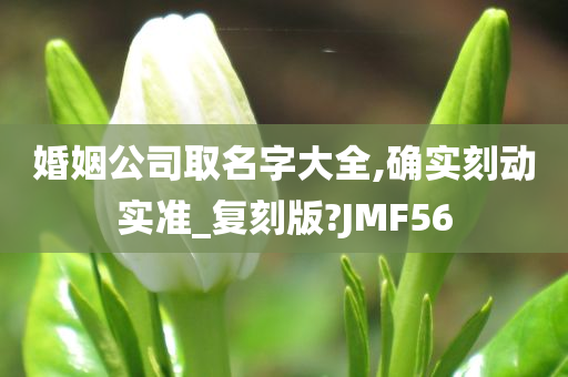 婚姻公司取名字大全,确实刻动实准_复刻版?JMF56