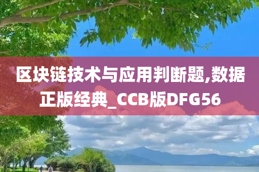 区块链技术与应用判断题,数据正版经典_CCB版DFG56