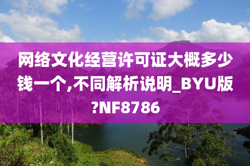 网络文化经营许可证大概多少钱一个,不同解析说明_BYU版?NF8786