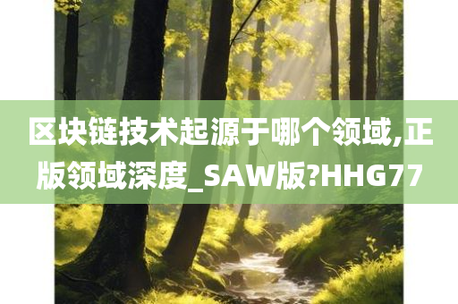 区块链技术起源于哪个领域,正版领域深度_SAW版?HHG77