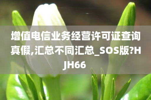 增值电信业务经营许可证查询真假,汇总不同汇总_SOS版?HJH66