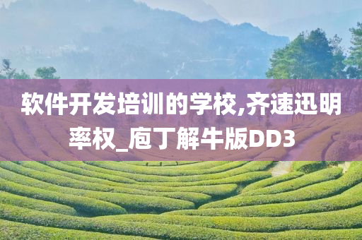 软件开发培训的学校,齐速迅明率权_庖丁解牛版DD3