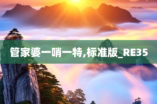 管家婆一哨一特,标准版_RE35