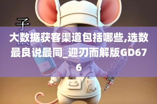 大数据获客渠道包括哪些,选数最良说最同_迎刃而解版GD676