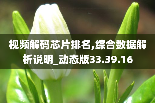 视频解码芯片排名,综合数据解析说明_动态版33.39.16