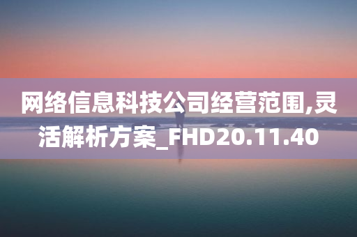 网络信息科技公司经营范围,灵活解析方案_FHD20.11.40