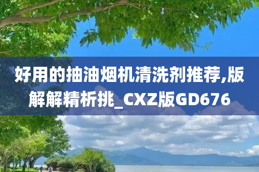 好用的抽油烟机清洗剂推荐,版解解精析挑_CXZ版GD676