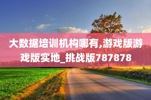 大数据培训机构哪有,游戏版游戏版实地_挑战版787878