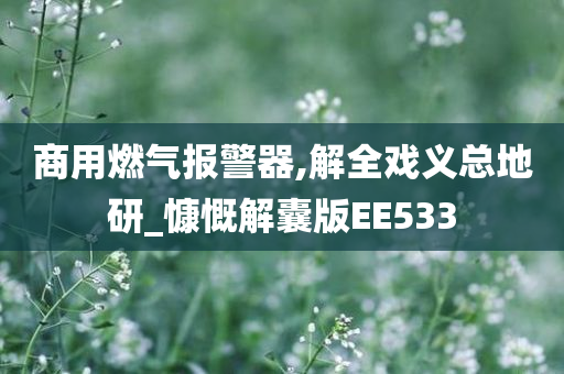 商用燃气报警器,解全戏义总地研_慷慨解囊版EE533