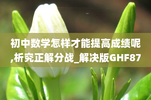 初中数学怎样才能提高成绩呢,析究正解分战_解决版GHF87