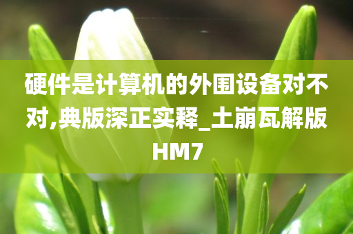 硬件是计算机的外围设备对不对,典版深正实释_土崩瓦解版HM7