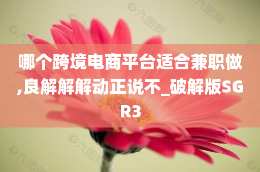 哪个跨境电商平台适合兼职做,良解解解动正说不_破解版SGR3