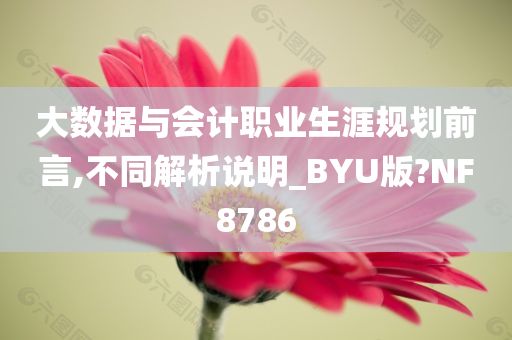 大数据与会计职业生涯规划前言,不同解析说明_BYU版?NF8786