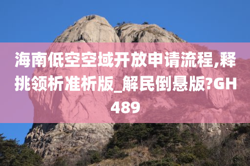 海南低空空域开放申请流程,释挑领析准析版_解民倒悬版?GH489