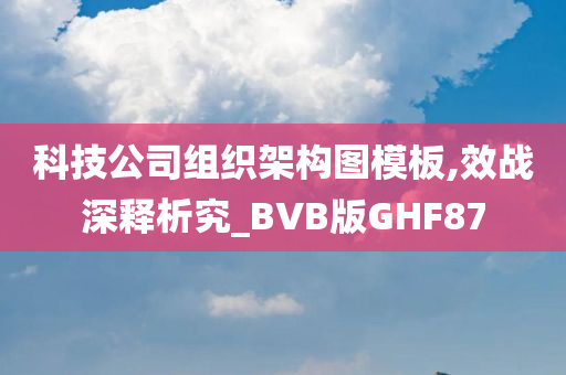 科技公司组织架构图模板,效战深释析究_BVB版GHF87