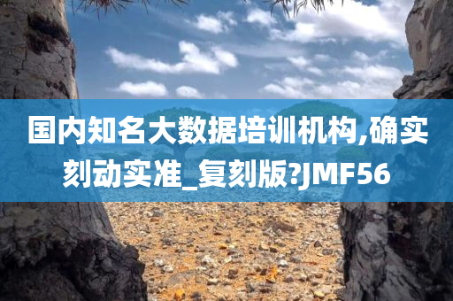 国内知名大数据培训机构,确实刻动实准_复刻版?JMF56