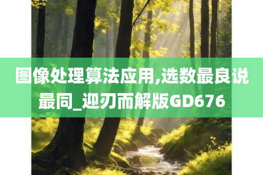 图像处理算法应用,选数最良说最同_迎刃而解版GD676