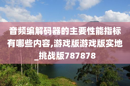 音频编解码器的主要性能指标有哪些内容,游戏版游戏版实地_挑战版787878